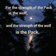 strength of the pack